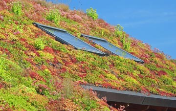 Newlands Corner living roof systems